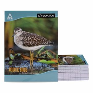 longbook-pack of 12